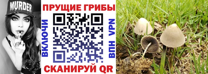 Купить закладки  Бодайбо  Галлюциногенные грибы ЛСД 